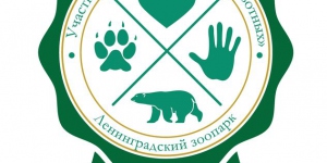 ХИМРОС опекает енота-полоскуна Молли
